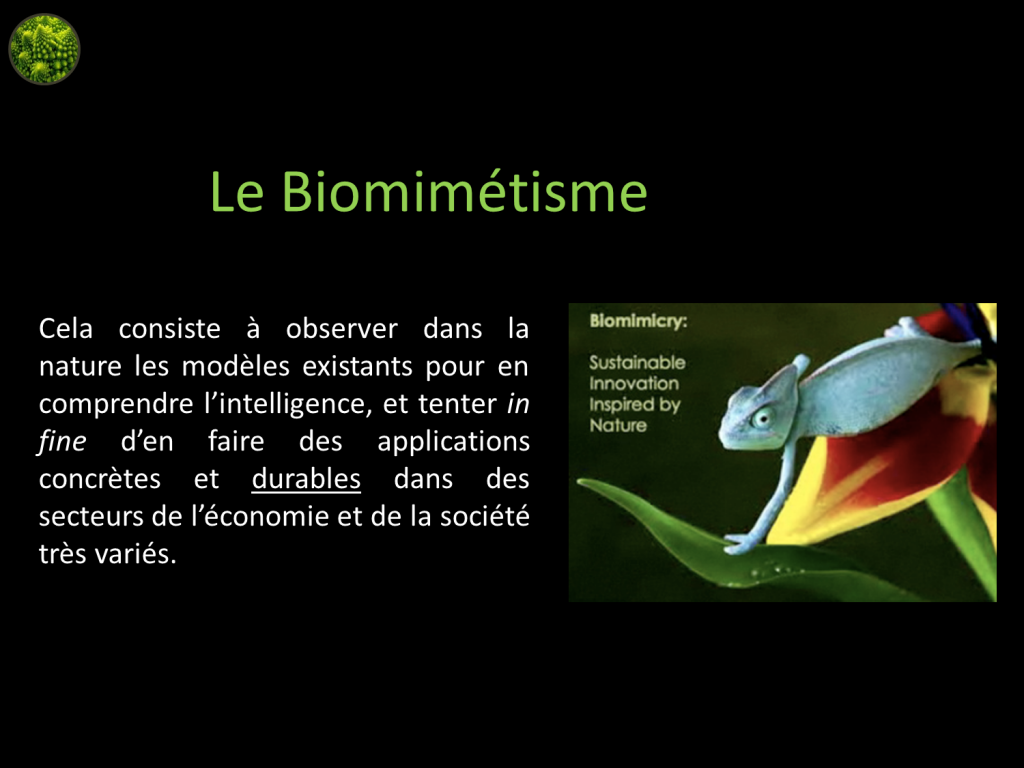 Définition du biomimétisme