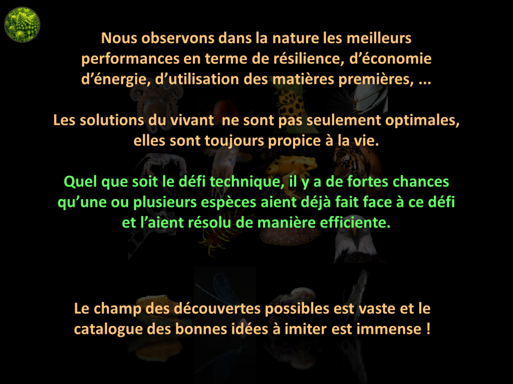 fondement du biomimétisme