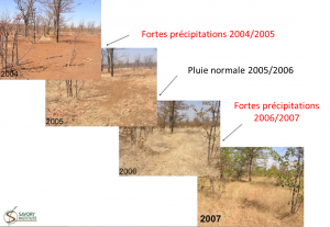 Evolution anti-désertification