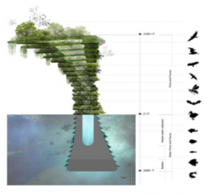 Stratification animale