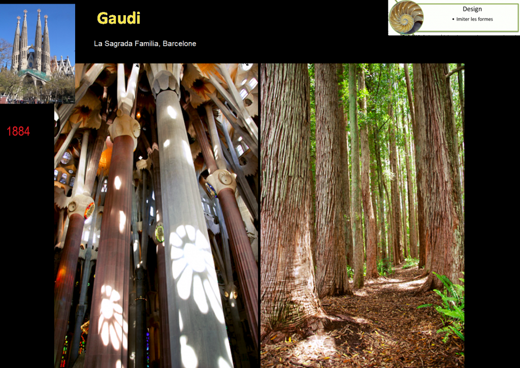 Gaudi-1