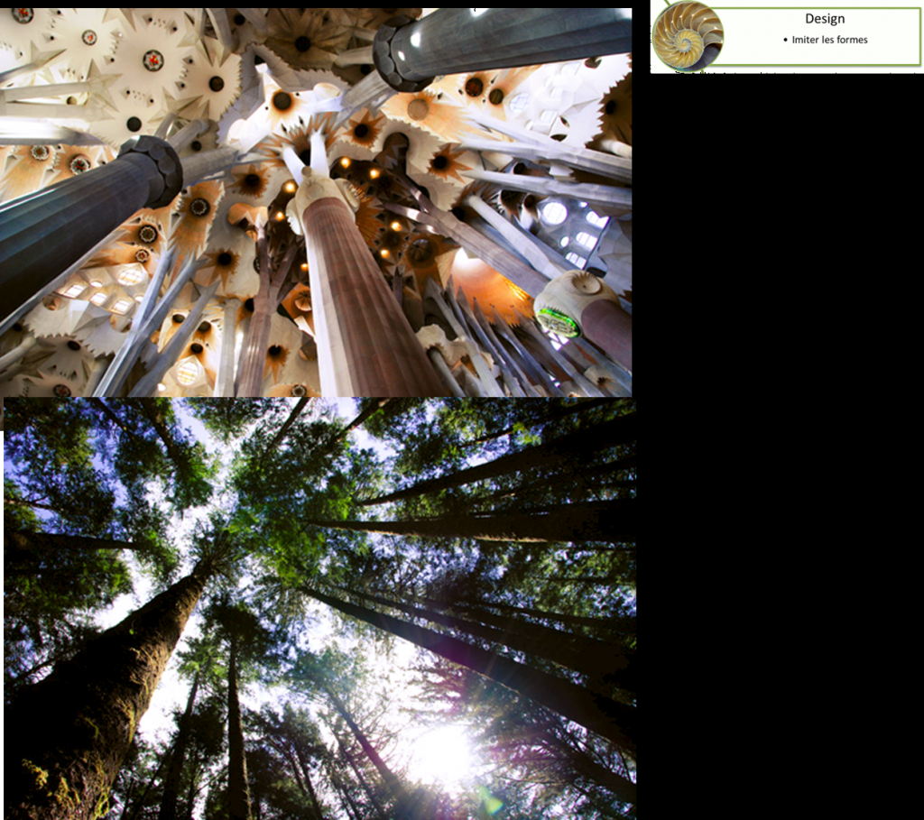 Gaudi-2