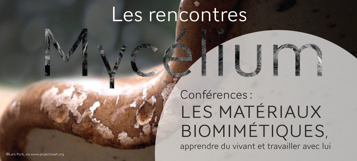 conférence Mycelium Matériaux 2013