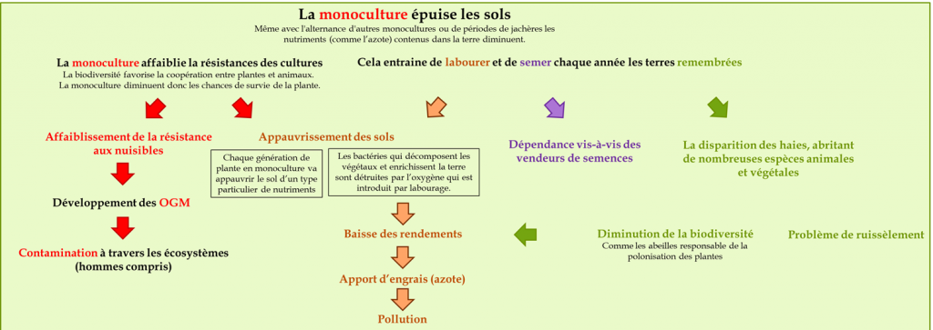 Monoculture