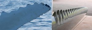 Whalepower Eoliennes
